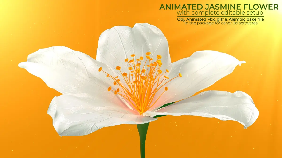 Realistic Jasmine Flower Bloom Animation 3D model