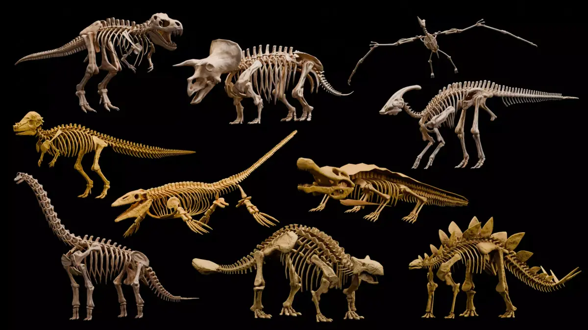 Realistic Ancient Reptilians Fossil Low-poly 3D model