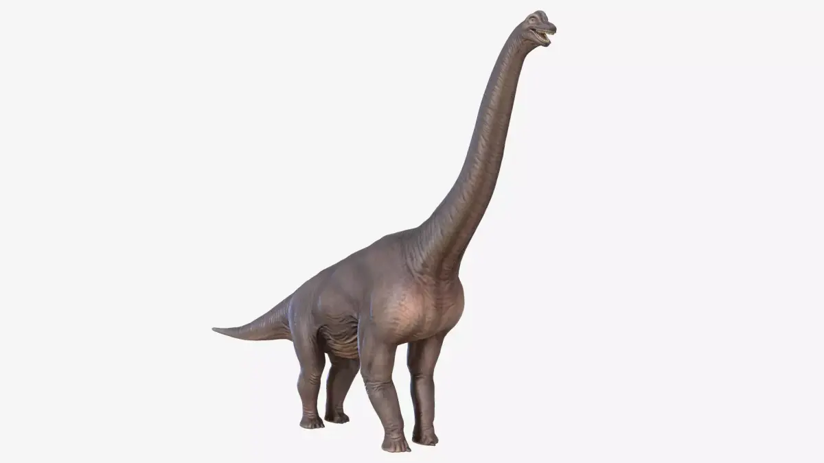 Brachiosaurus dinosaur Low-poly 3D model 3
