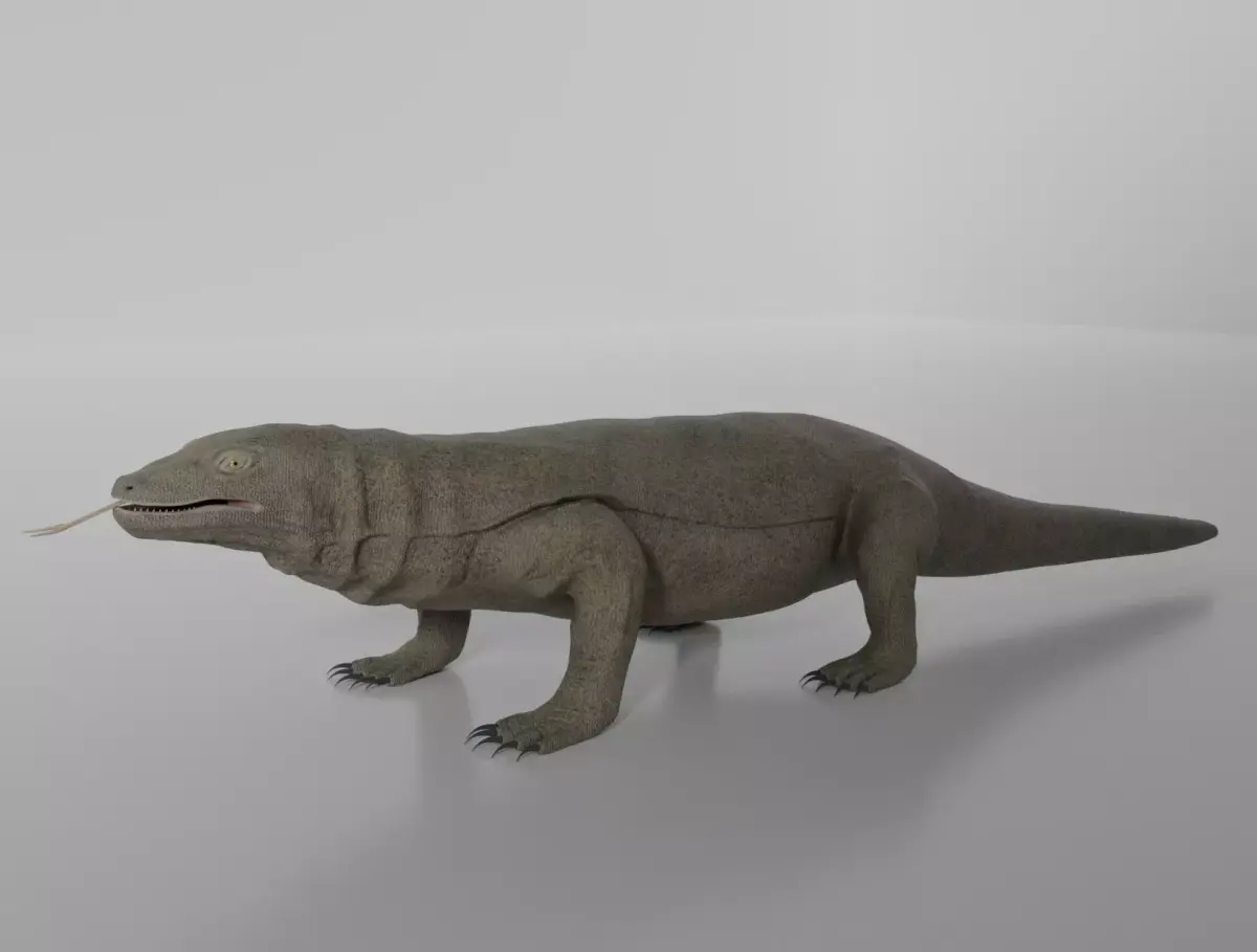 KOMODO DRAGON 3D model