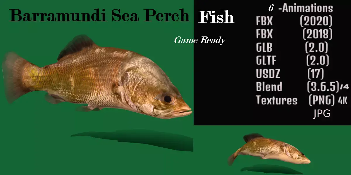 Barramundi Asian Sea Bass Fish Low-poly 3D model