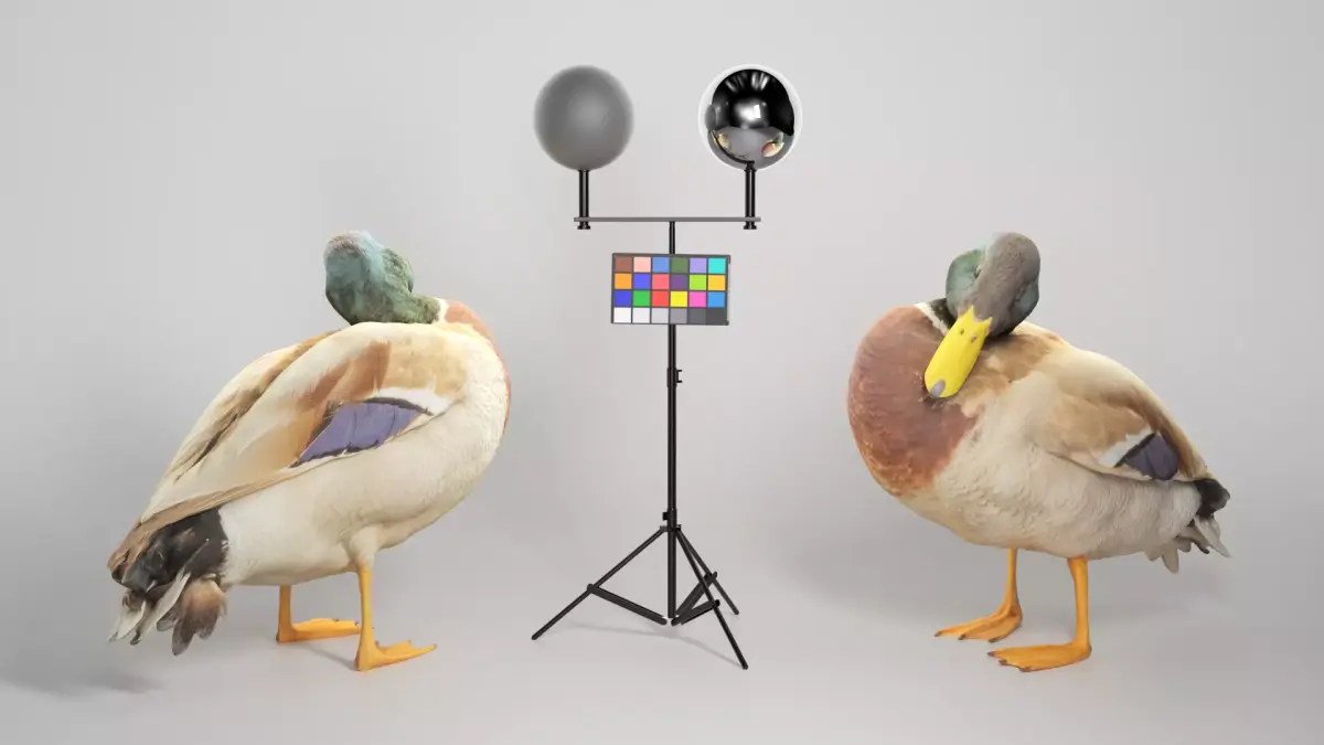 Duck 16 Low-poly 3D model