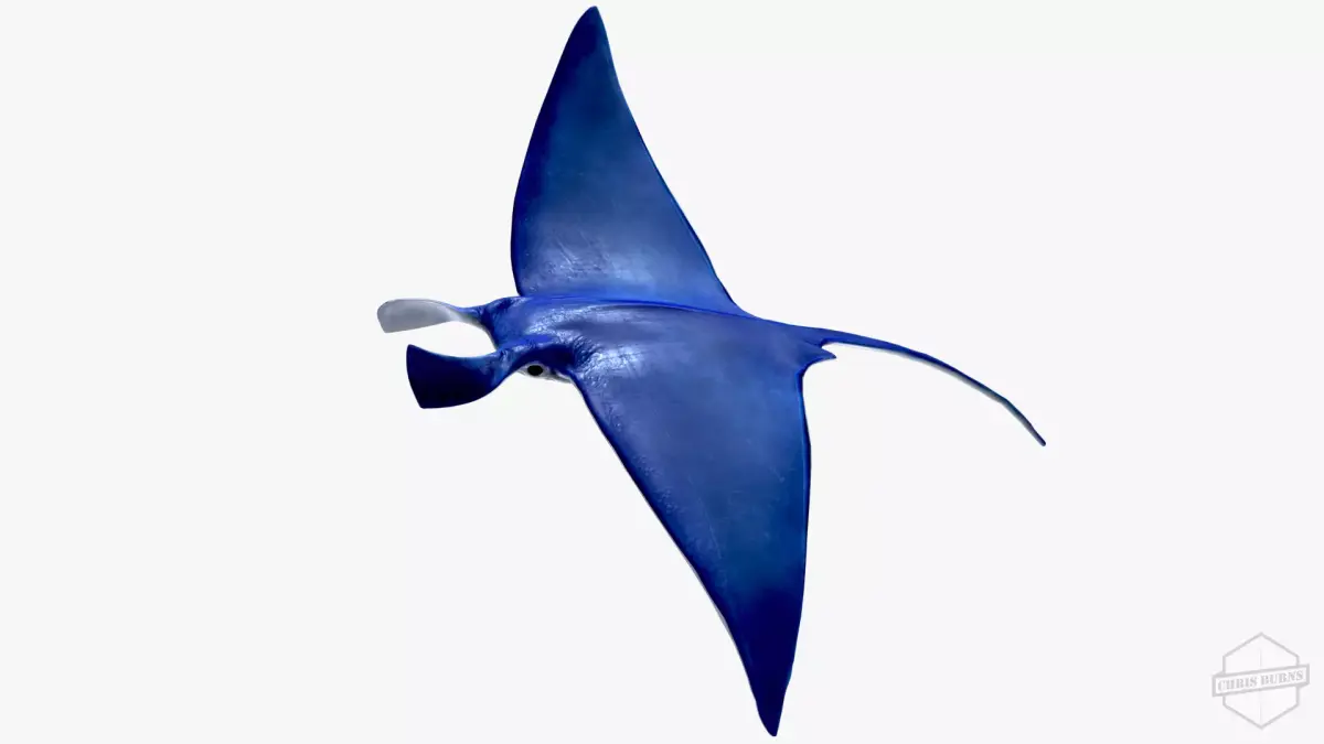 Rigged and Animated Manta ray sea creature Low-poly 3D model