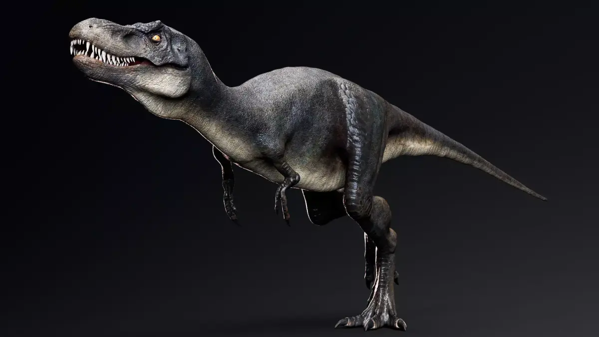 Dinosaur Juvenile Tyrannosaurus Rex  Unreal Engine Project Low-poly 3D model