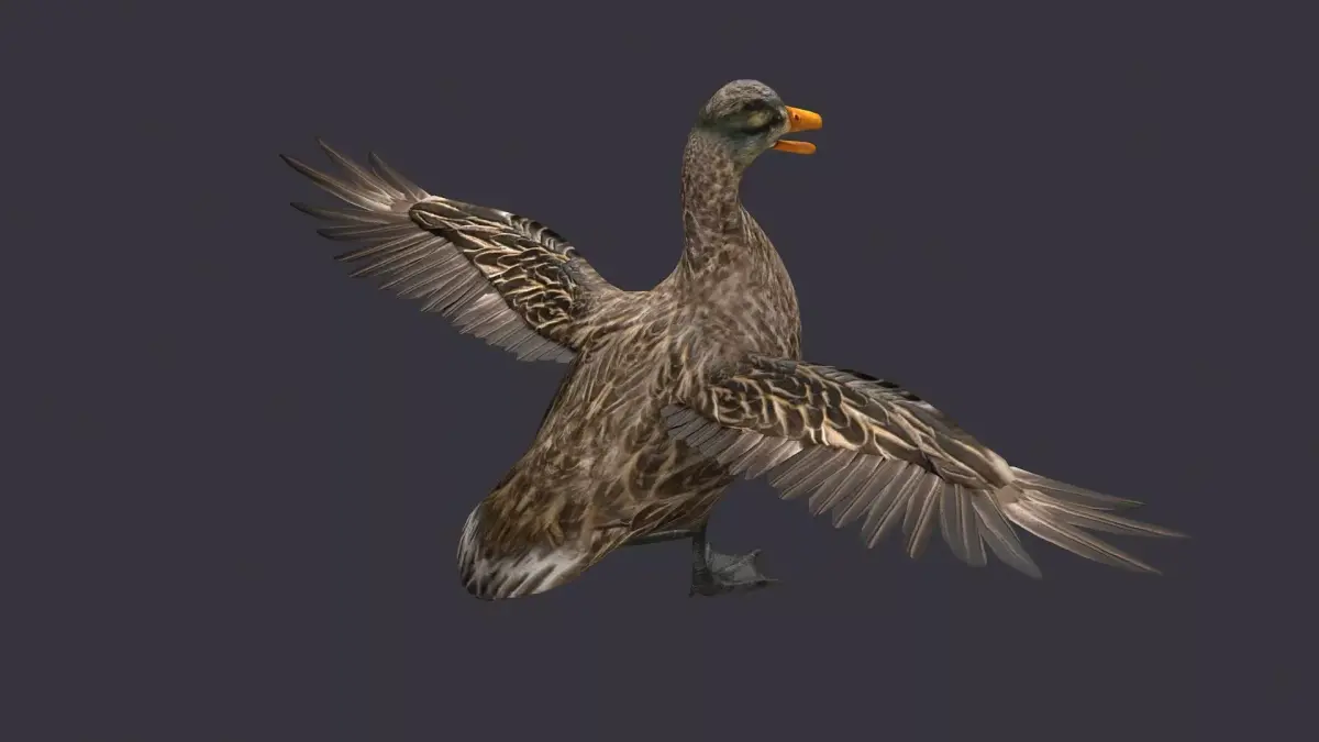 wild duck mallard dabbling anas platyrhynchos  3D model
