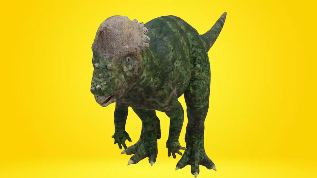 pachycephalosaurus Dinosaur Low-poly 3D model