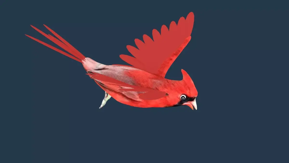 Cardinal bird 3D model