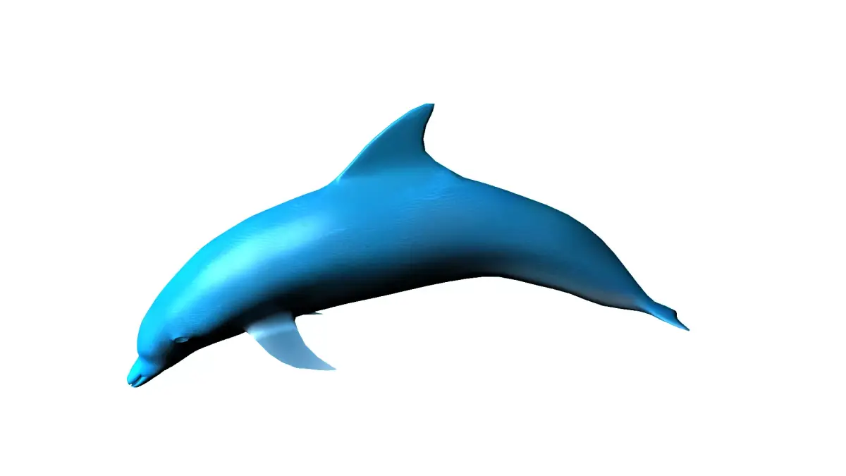 dolphin lowpoly 3D model buy