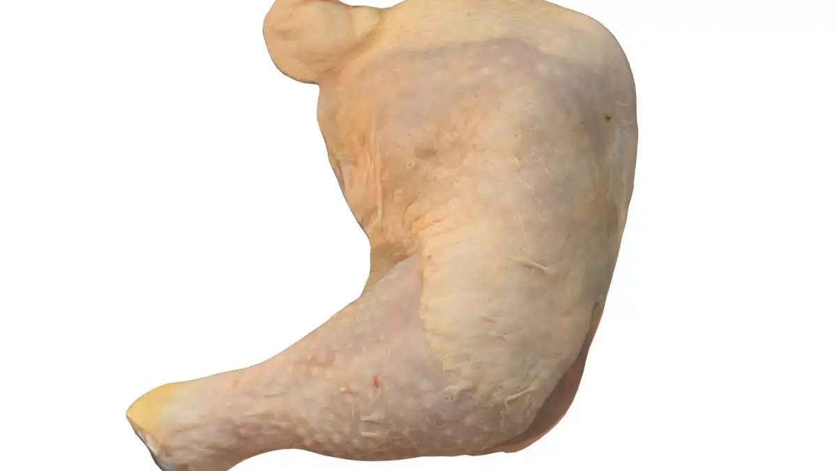 Photoscan Photogrammetry Chicken Leg Thigh Food 4k 3D model