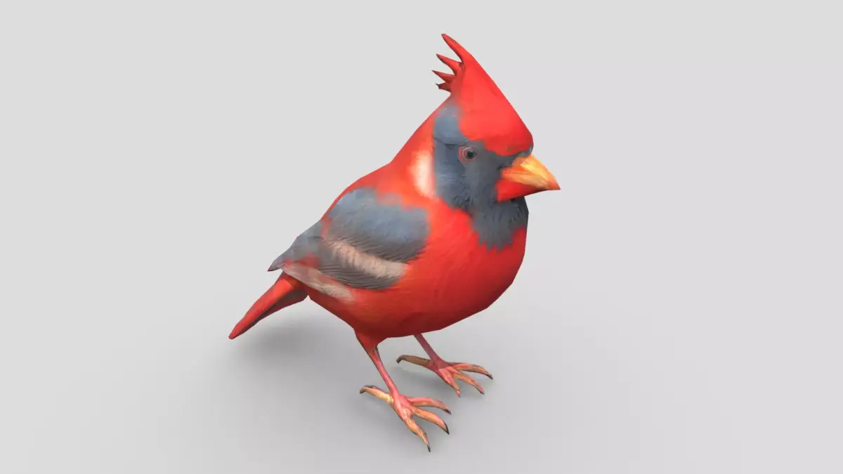 Standing Bird Cardinal Low-poly 3D model