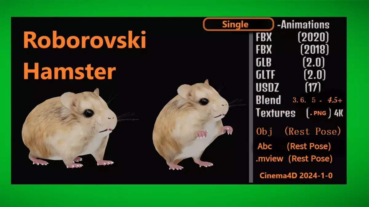 Roborovski Dwarf Hamster Free 3D model purchase