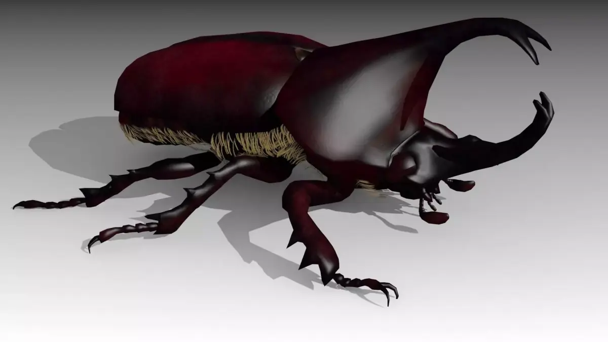 Rhinoceros Beetle Low-poly 3D model buy