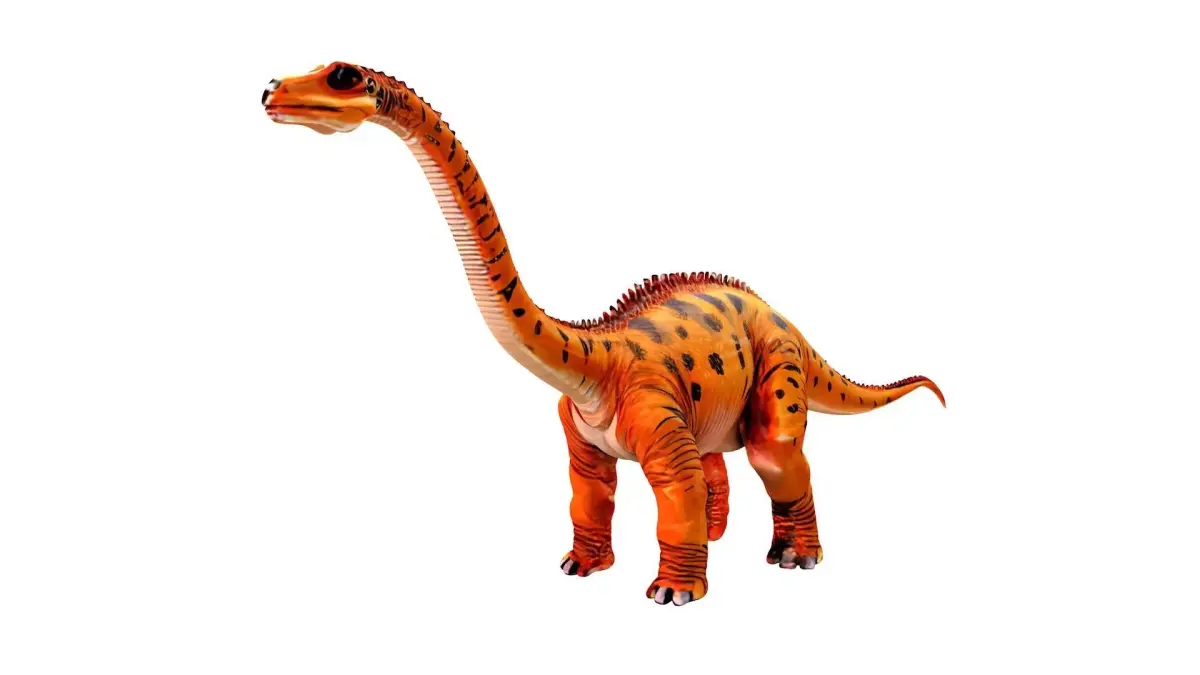 Apatosaurus 3D model buy