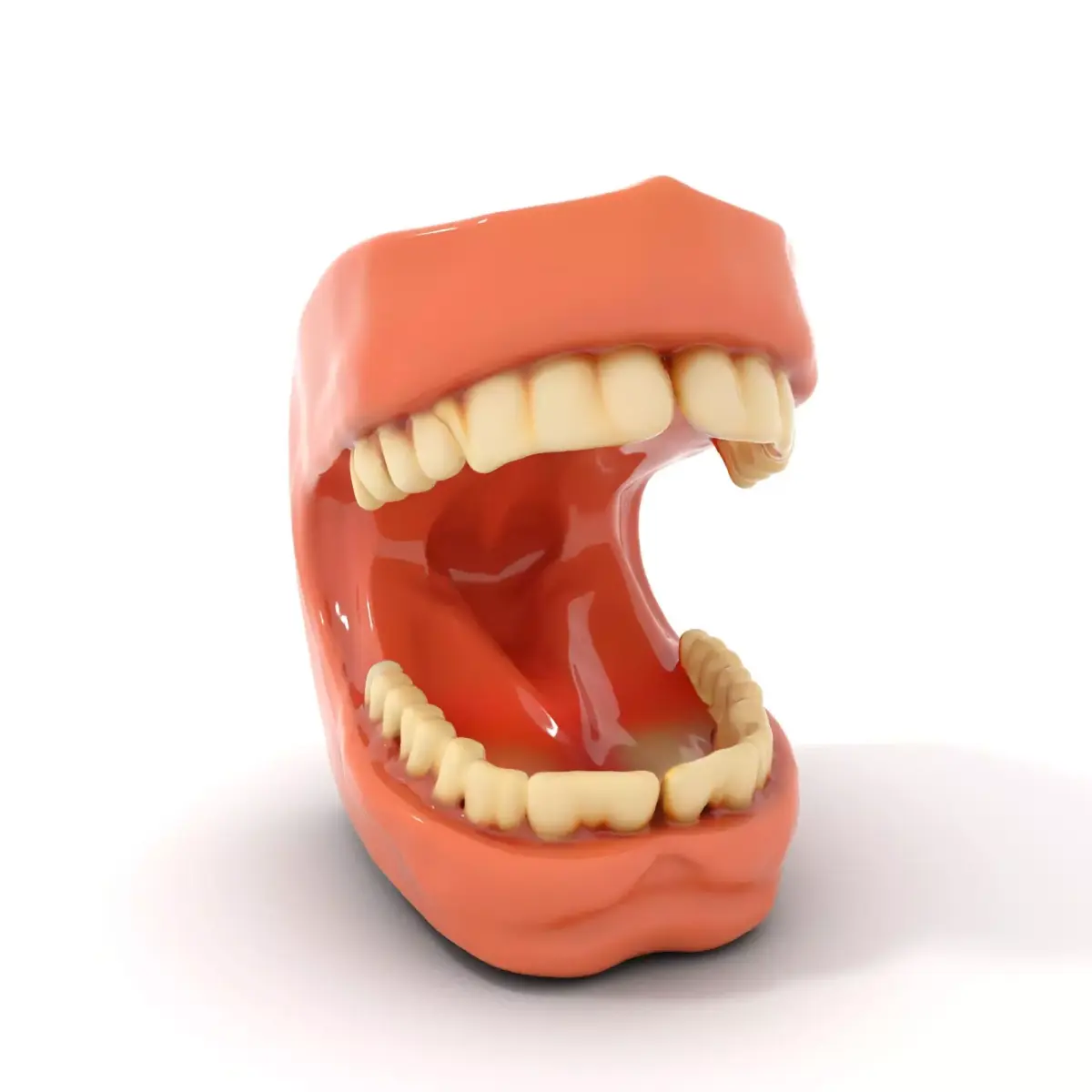 Realistic Dentist Teeth model pack Low-poly 3D model