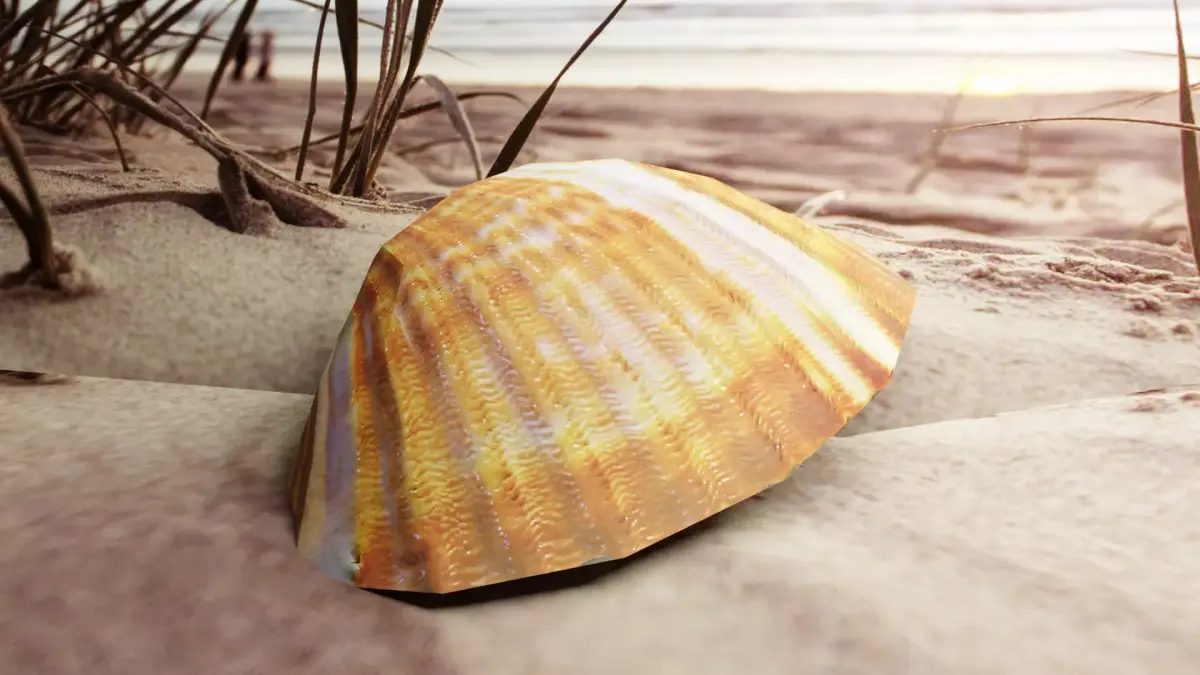 3D-Scanned Seashells - Set of 3 Seashells Low-poly 3D model