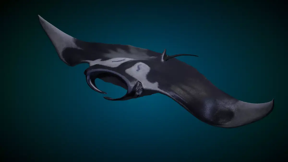 Manta Ray Animated 3D model