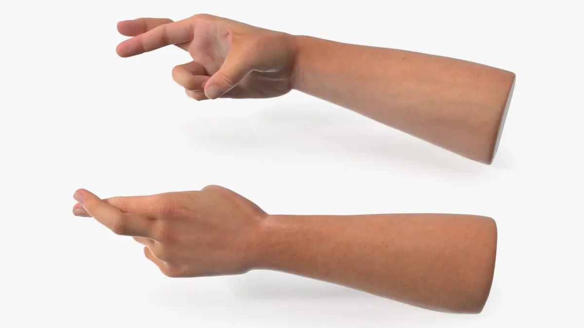 Human Arm Set with Fingers Crossed 3D model