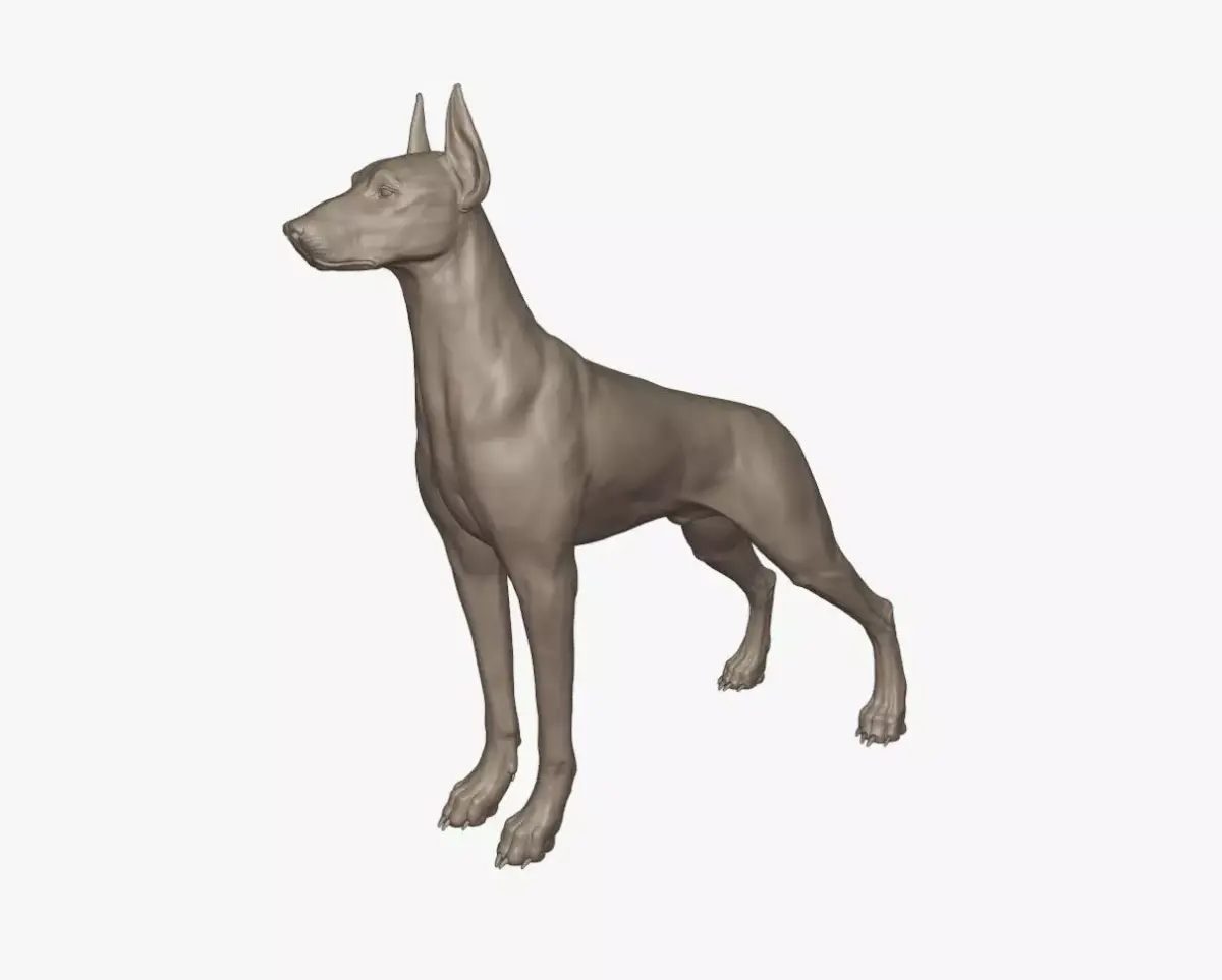 doberman sculpture 3D model