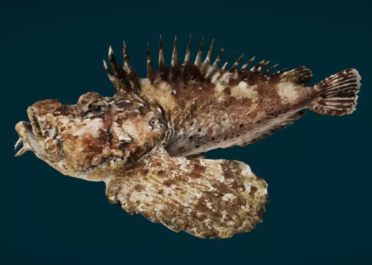 Demon Stinger Fish 3D model