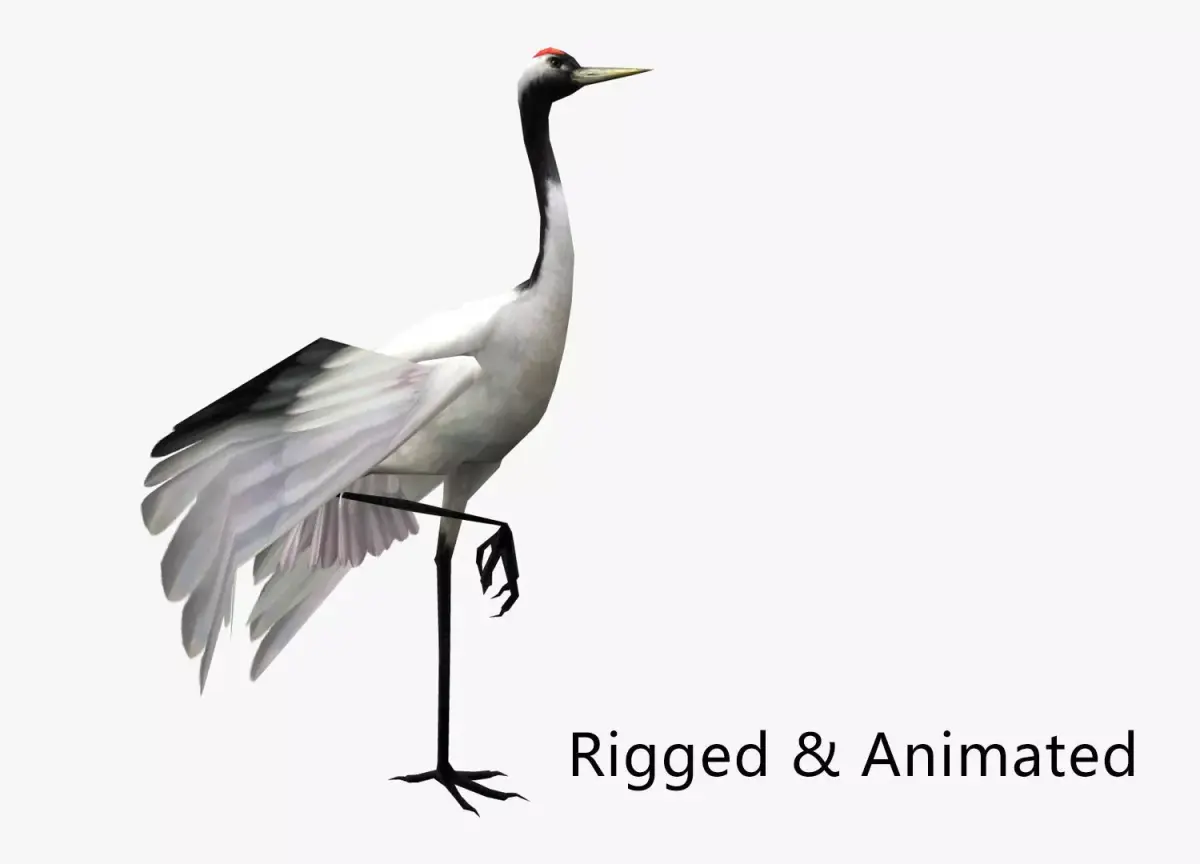 low-poly animated crane bird Low-poly 3D model