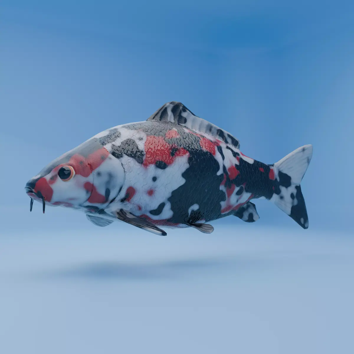 Carp Koi Fish Low-poly 3D model
