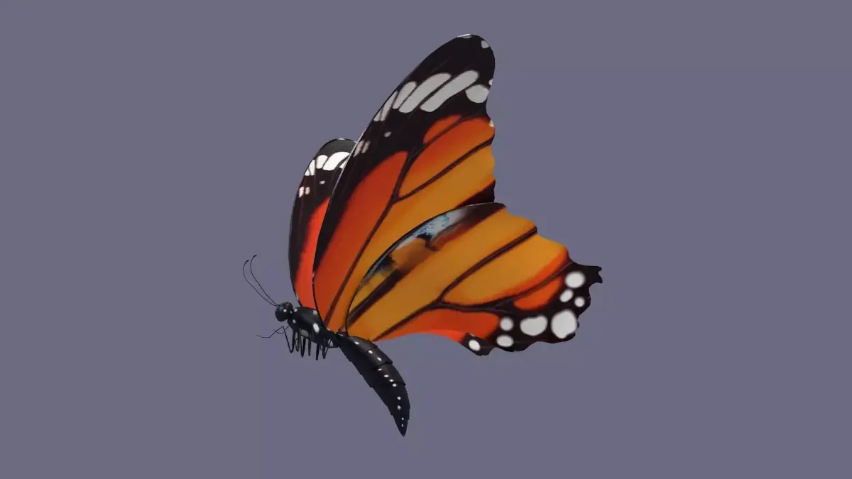 butterfly antenna wing insect fly wildlife summer sky 3D model