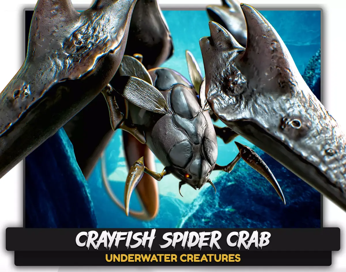 Crayfish Spider Crab - fish ocean predator crustacea model - 12 Low-poly 3D model