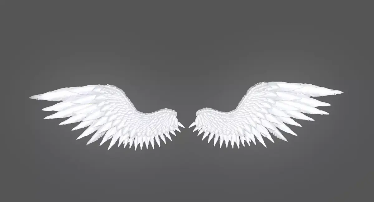 Angel Wings Low-poly 3D model