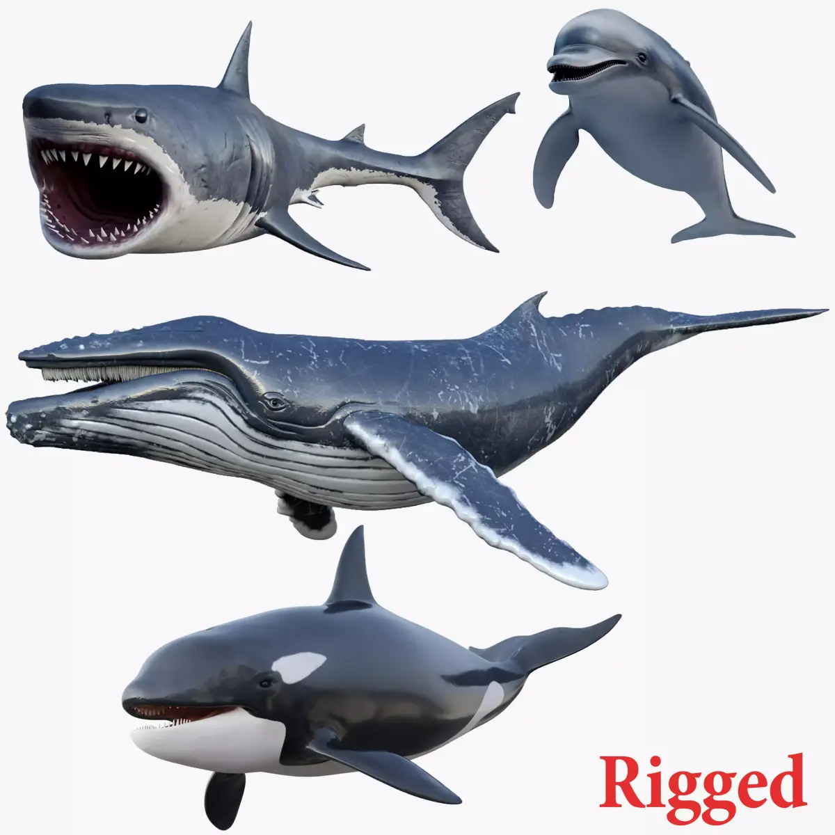  Set of Sea Animals Rigged 8K Low-poly 3D model