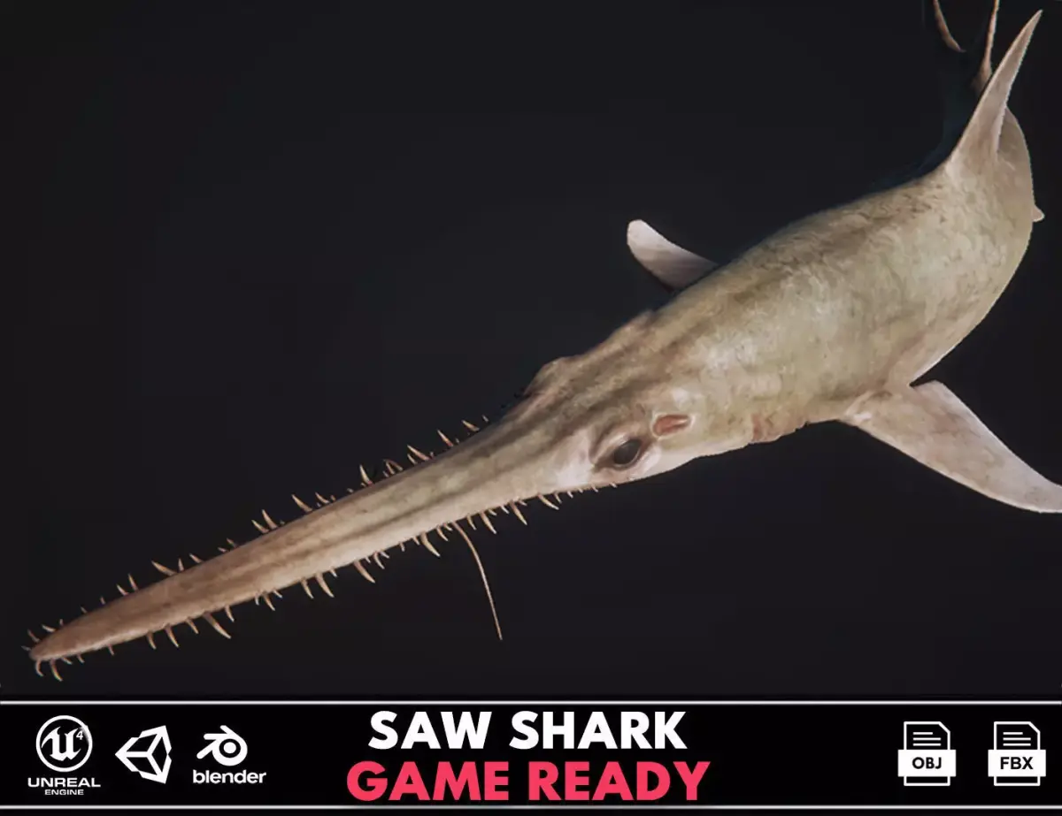 Saw Shark Low-poly 3D model purchase