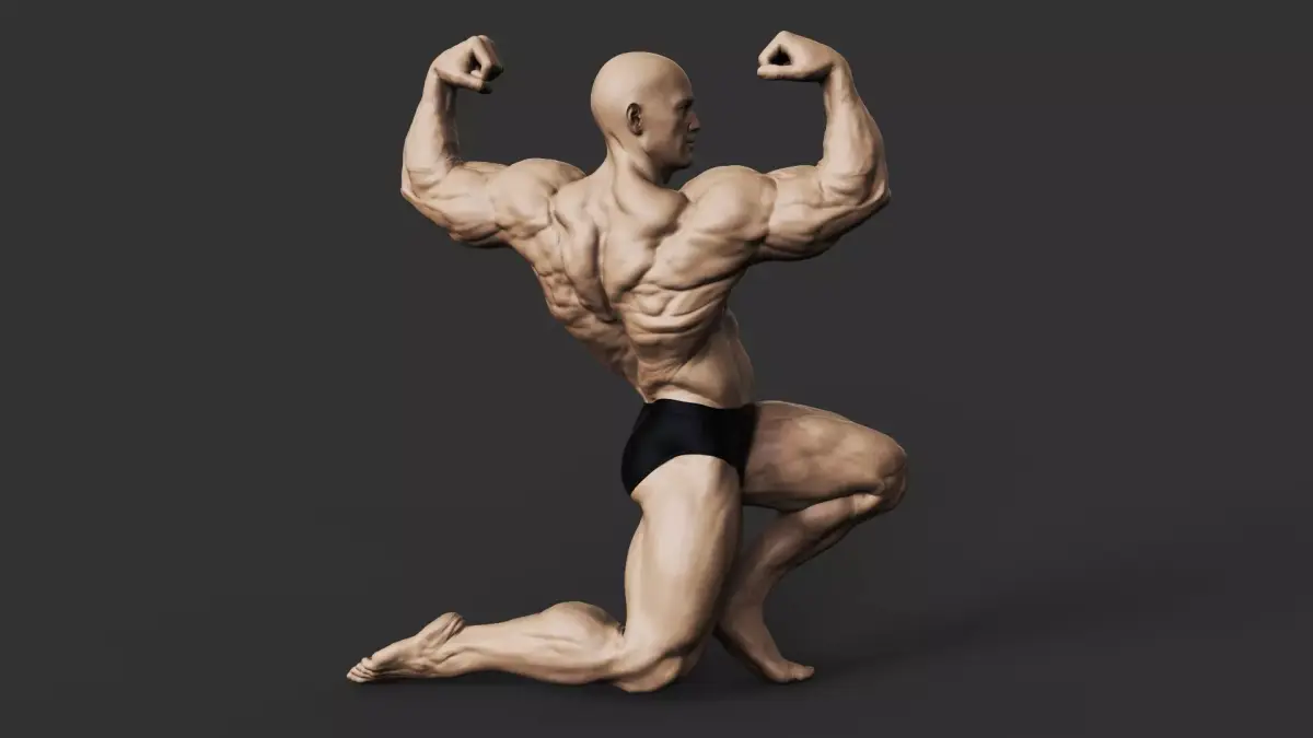 Bodybuilder 3D print model buy