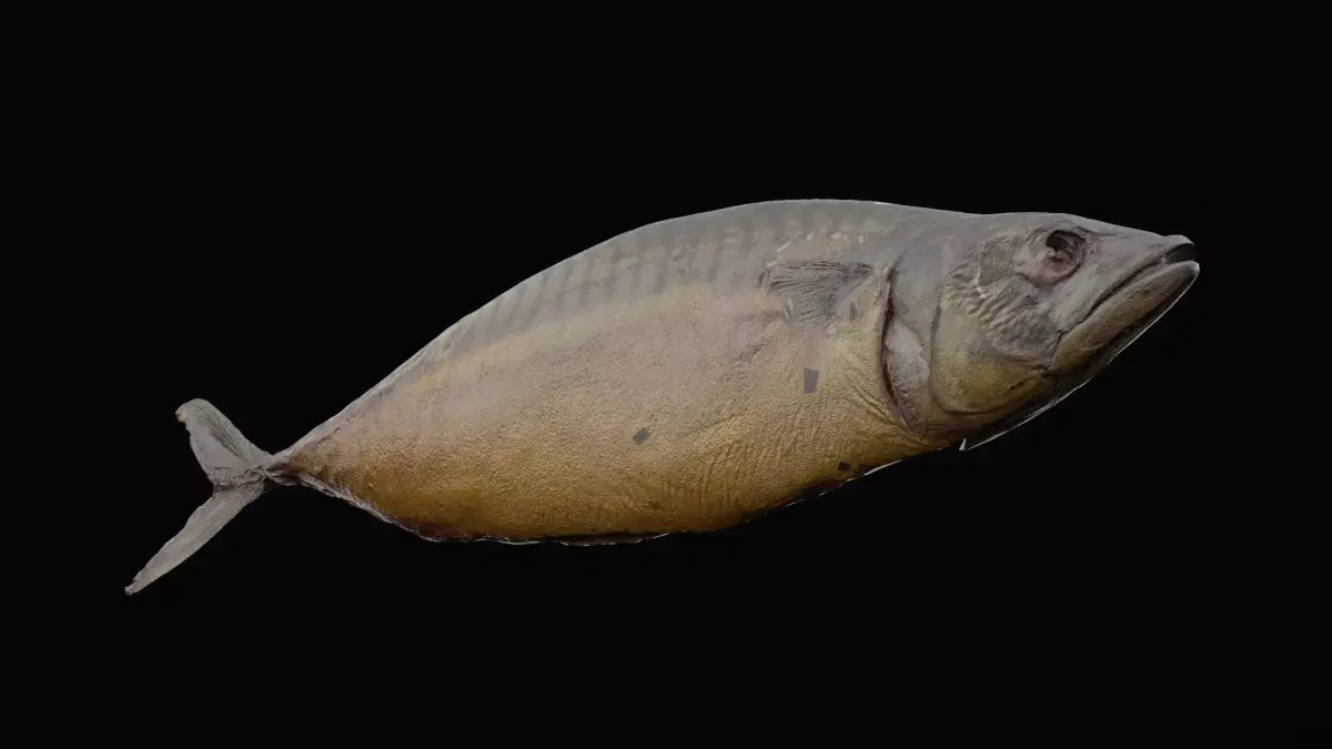 Fire Grilled Fish Low-poly 3D model