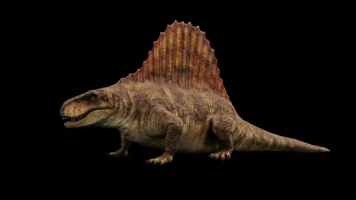 Dimetrodon - Prehistoric Synapsid Low-poly 3D model