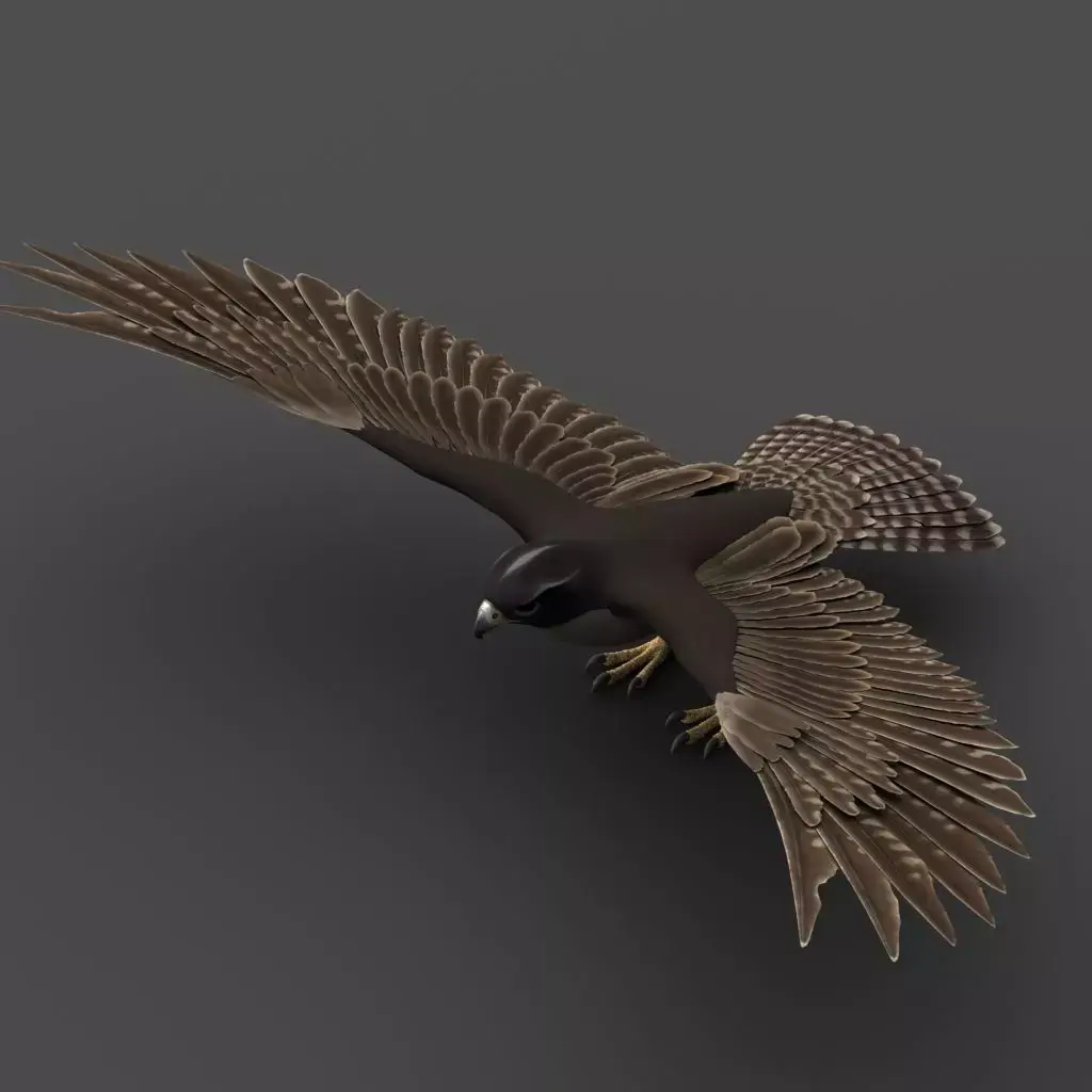 Falcon in flight 3D model