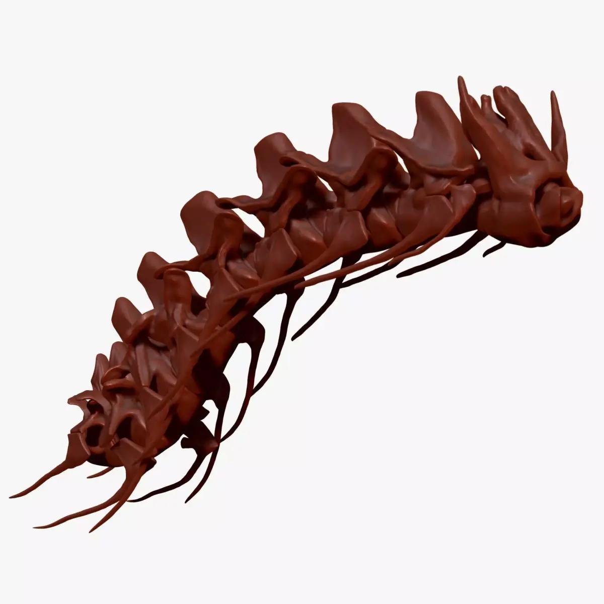 Spinosaurus Neck Skeletons Set 3D model
