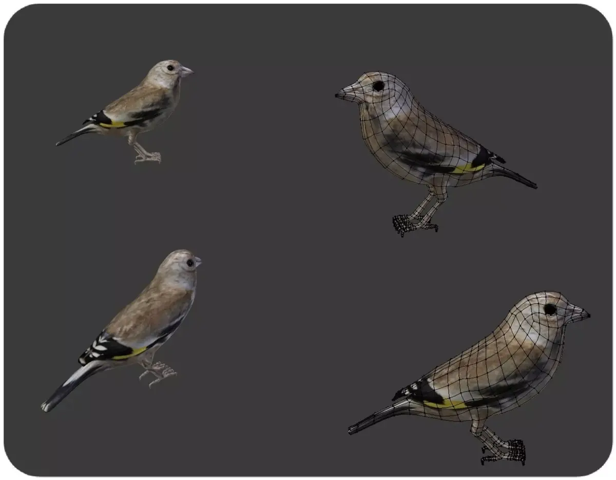 bird golden finch 3D model