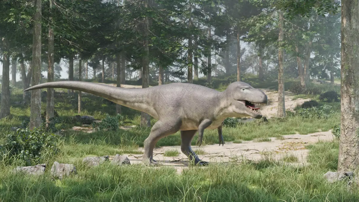 Daspletosaurus - Rig 3D model