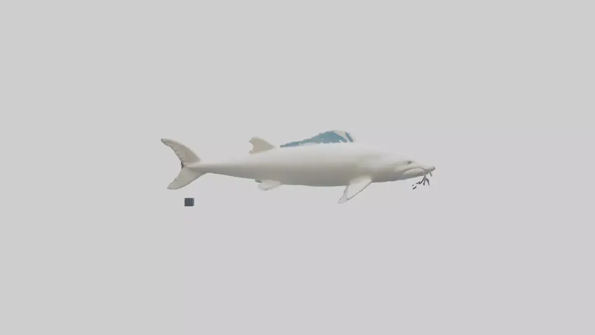 Beluga Sturgeon swimming model Low-poly 3D model