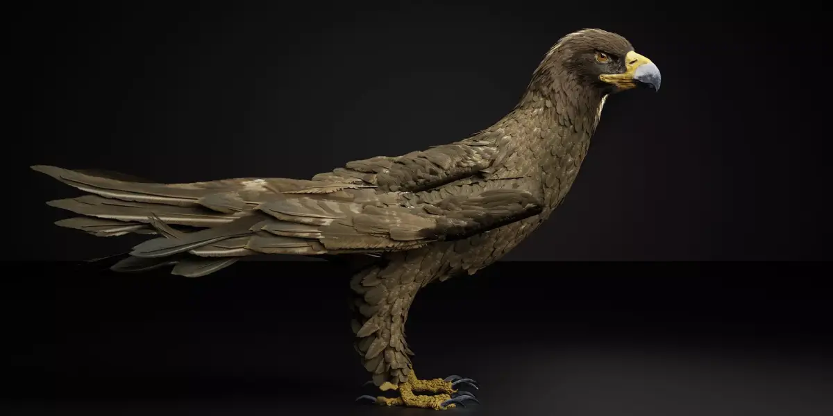 Golden Eagle 3D Model I Game Ready Blender Low-poly 3D model