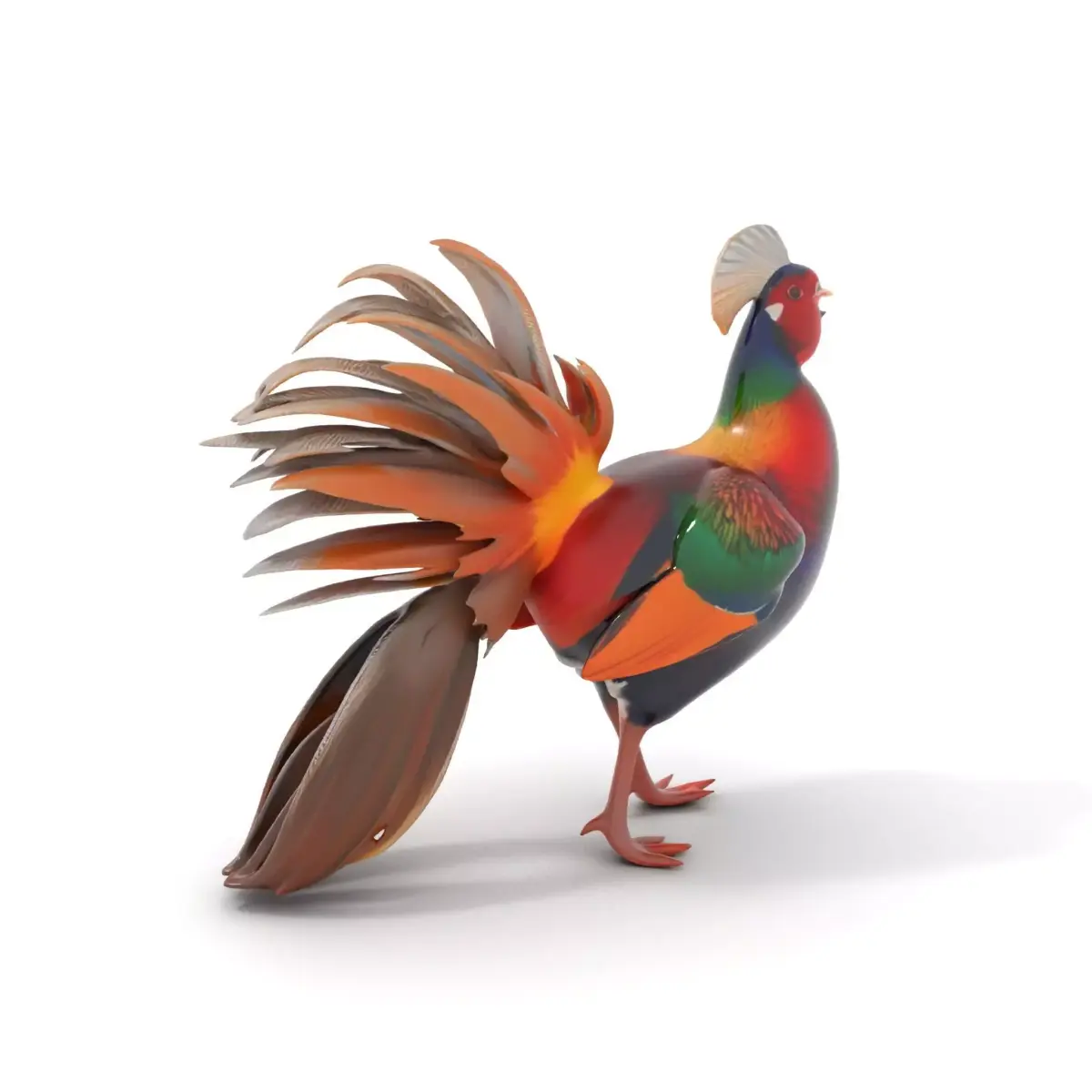 Vibrant Pheasant model pack Low-poly 3D model