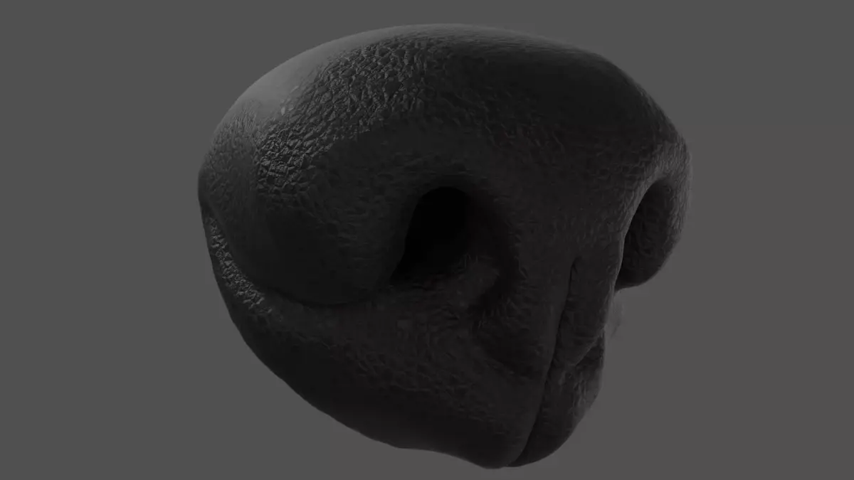 Dog Nose  Low-poly 3D model