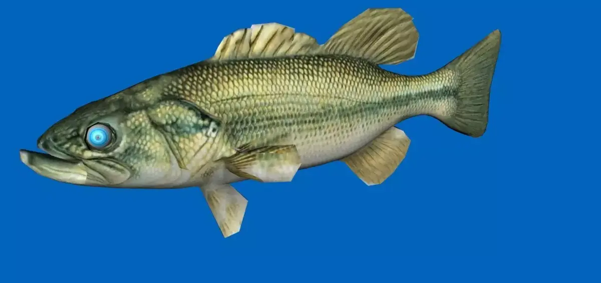 bass 3d fish 3D model