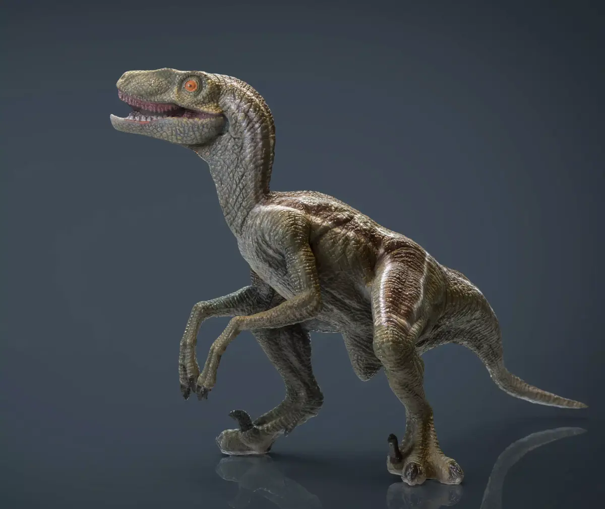 Velociraptor dinosaur Low-poly 3D model get