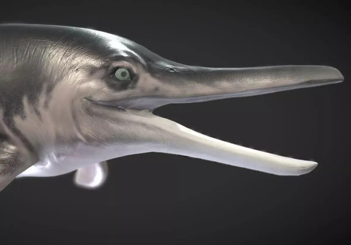 Temnodontosaurus Low-poly 3D model