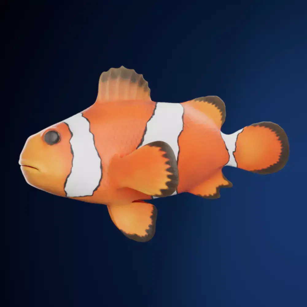 Cute Realistic Animation-Ready Clownfish 3D model