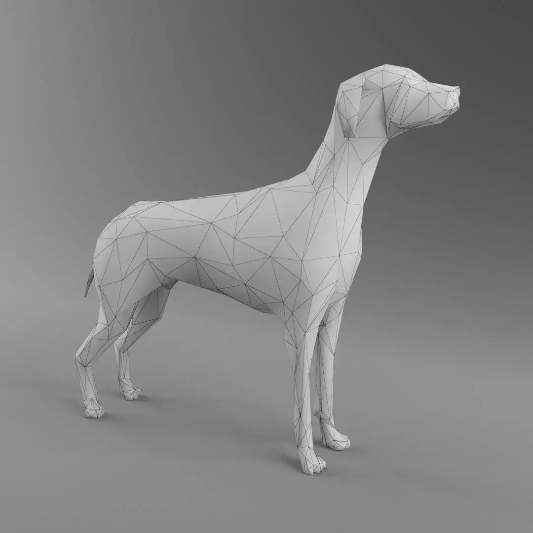 Dog 3D Model - Low Poly 2019 Nice Anatomy with 3D Scene Low-poly 3D model