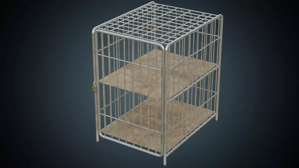 Cage 2B Low-poly 3D model