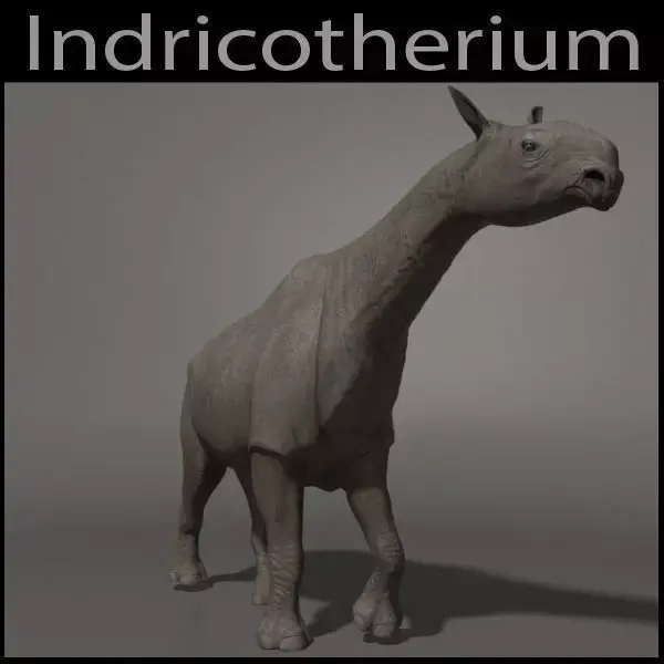 Indricotherium 3D - Pre-historic mammal 3D model purchase