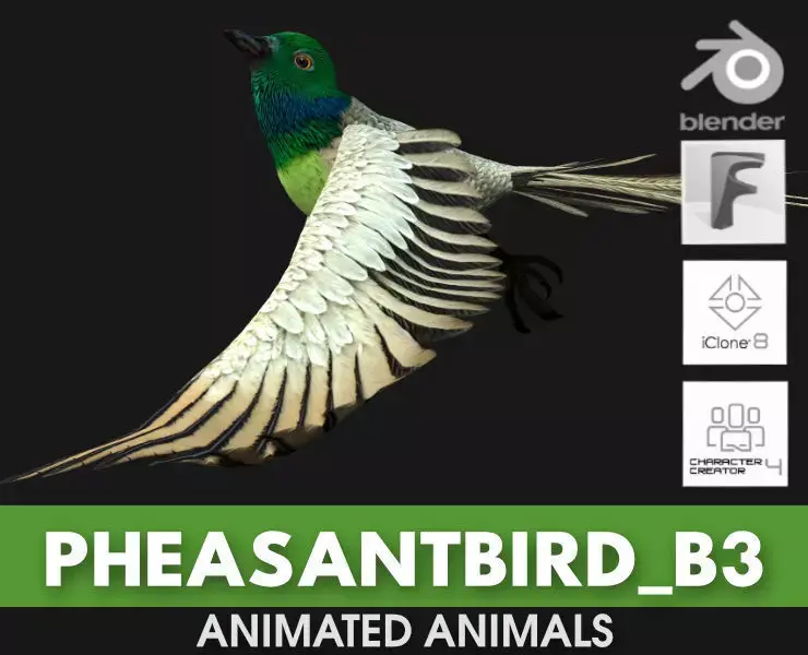 PheasantBird B3 3D model