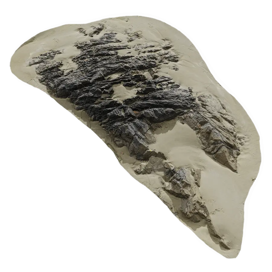  Large Low Jagged Beach Rock Model  purchase